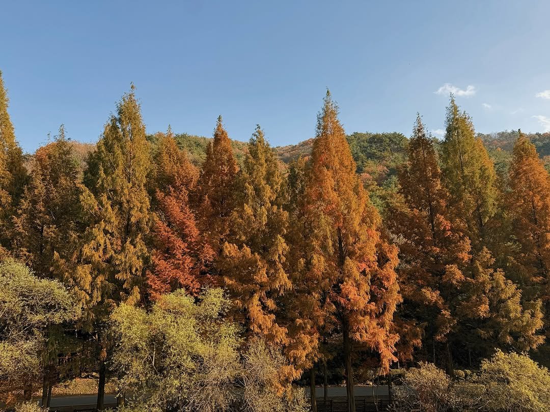 Photo by 오늘 일상, 여행 on November 10, 2025.