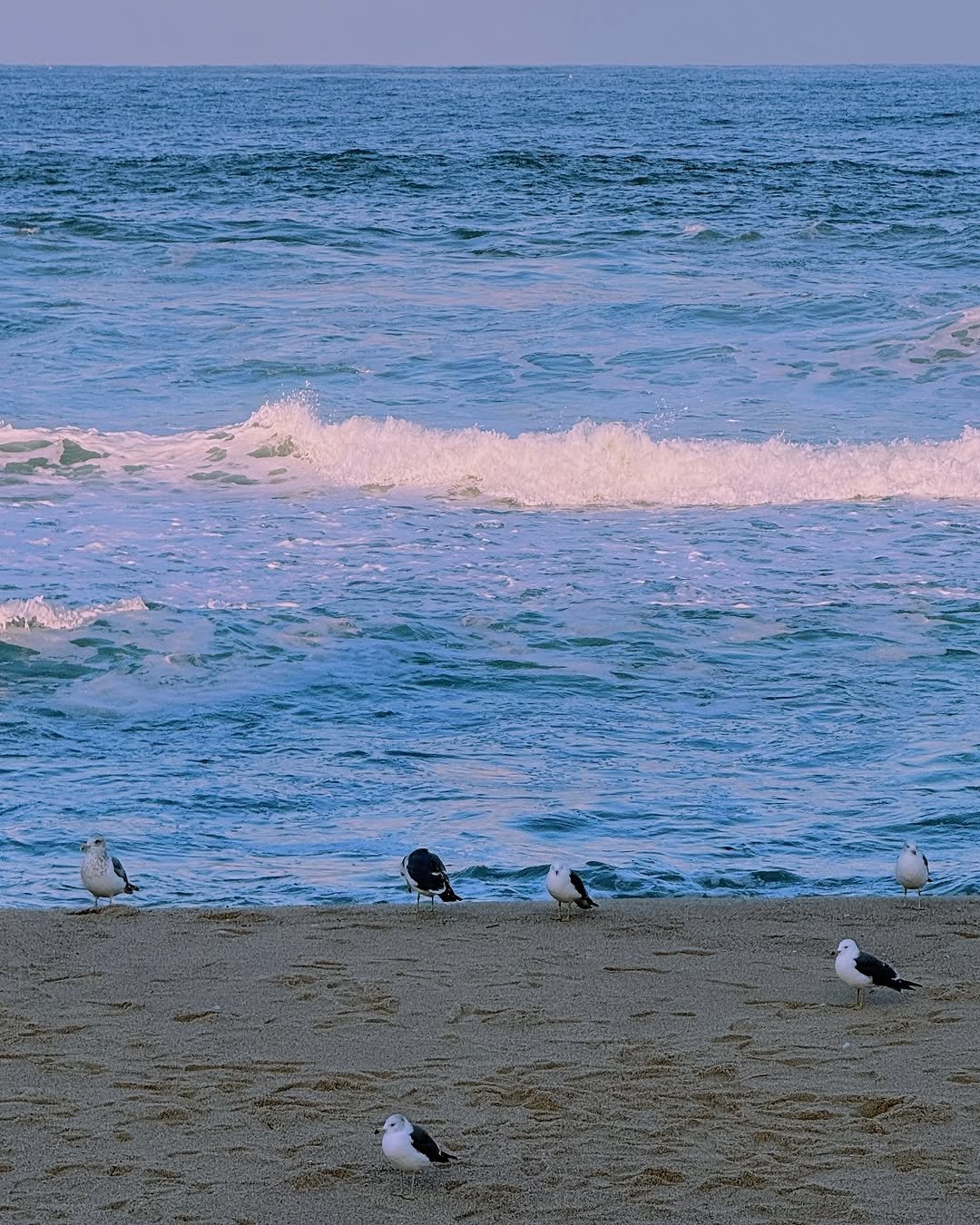 Photo by 오늘 일상, 여행 on January 15, 2025.