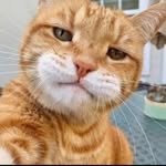 horseking123 프로필 사진