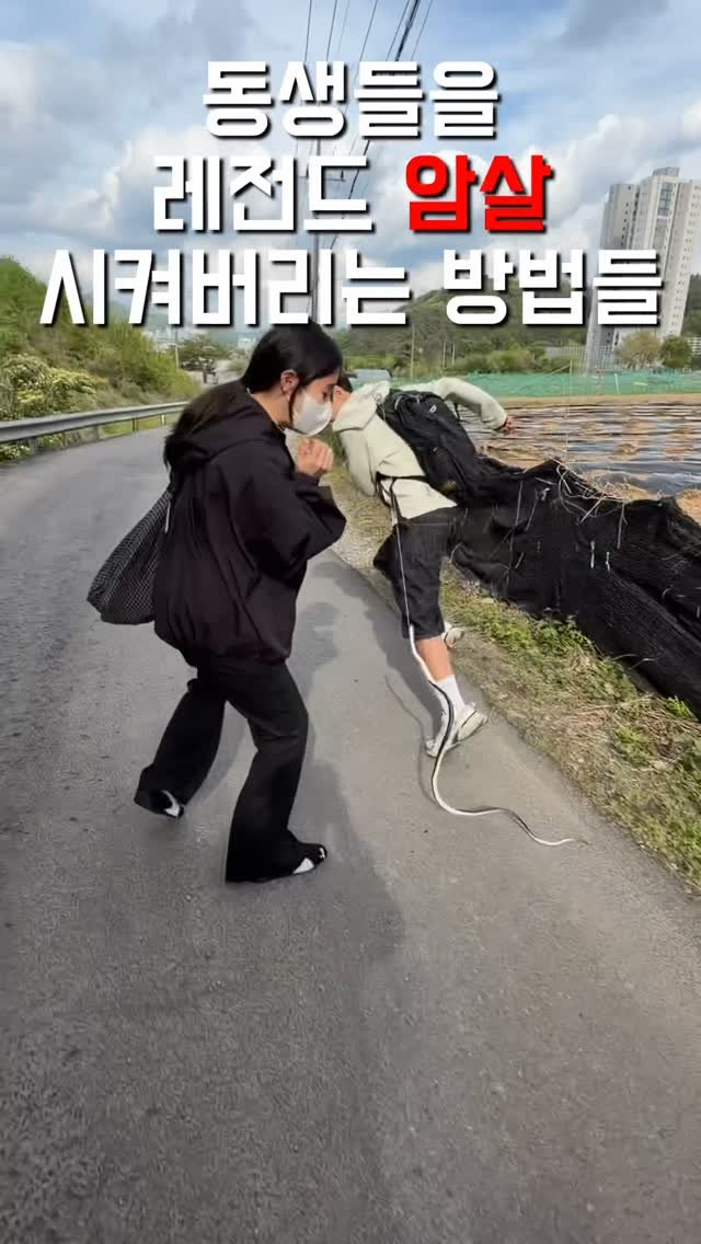 1imsemin 게시물 이미지: 동생들을 레전드로 암살시키는 방법 #여동생 #남동생 #암살