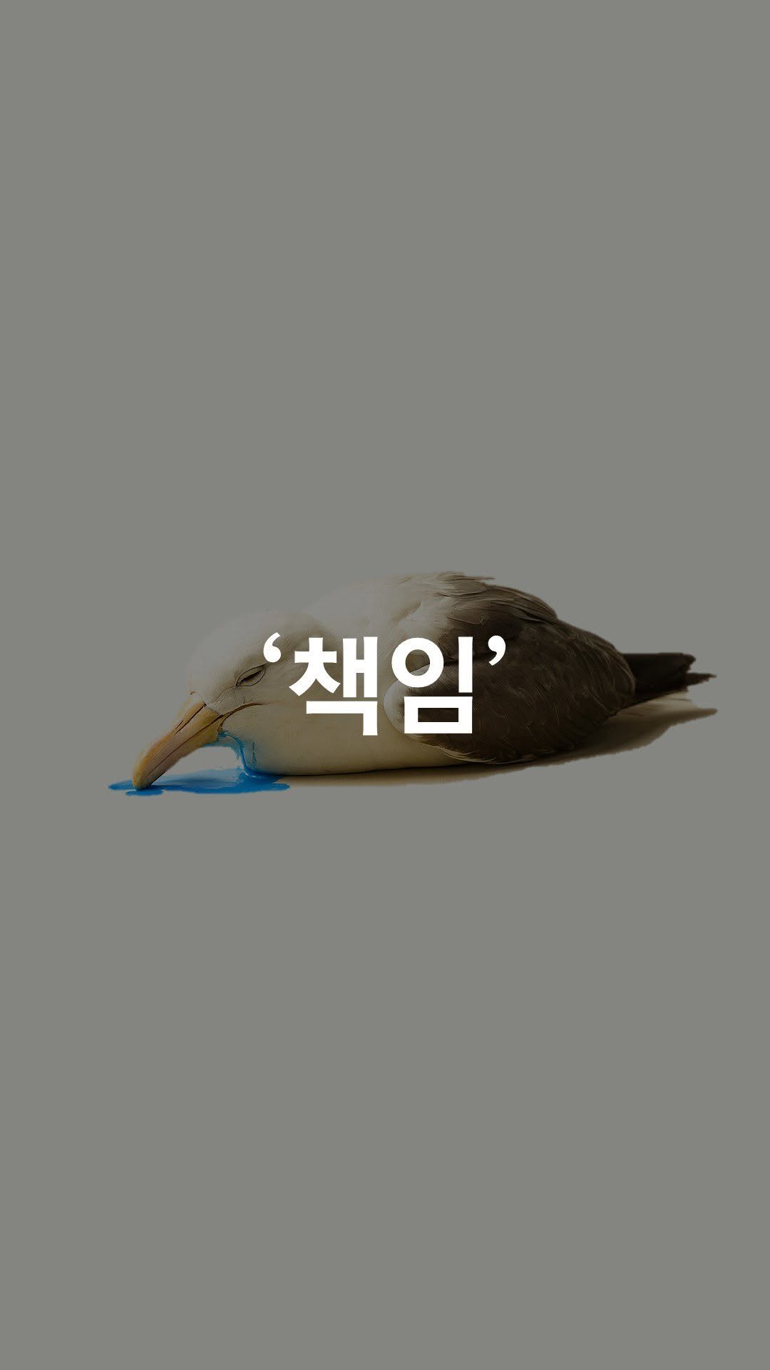 1trash1follow 게시물 이미지: ”쓰레기통이 없어요“
“어디에 버려요?“
그 한마디가 만들 수 있는 것

휴일...