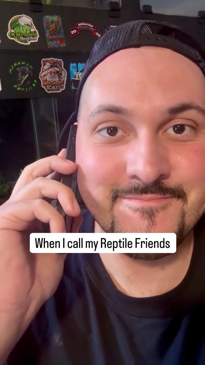 2024 게시물 이미지: Reptile Friends are Always There For You! The...