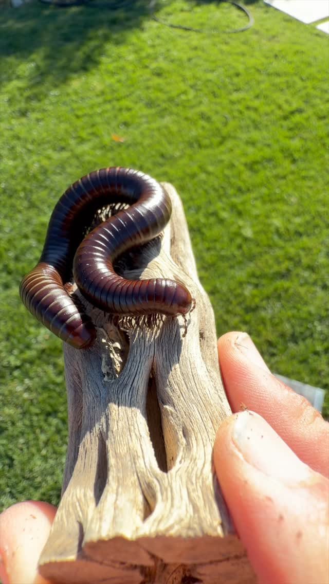 2024 게시물 이미지: you’re getting ready for Super Bowl, I’m...
