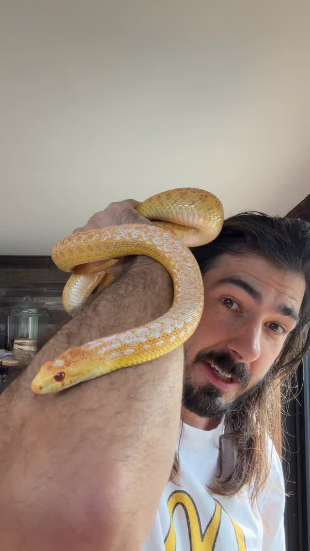 2024 게시물 이미지: good morning from me & Norbert 🥲