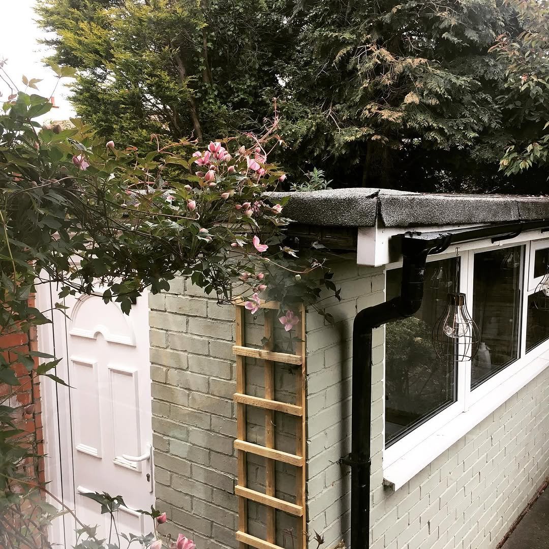 212 게시물 이미지: Last year I started training our Clematis as...
