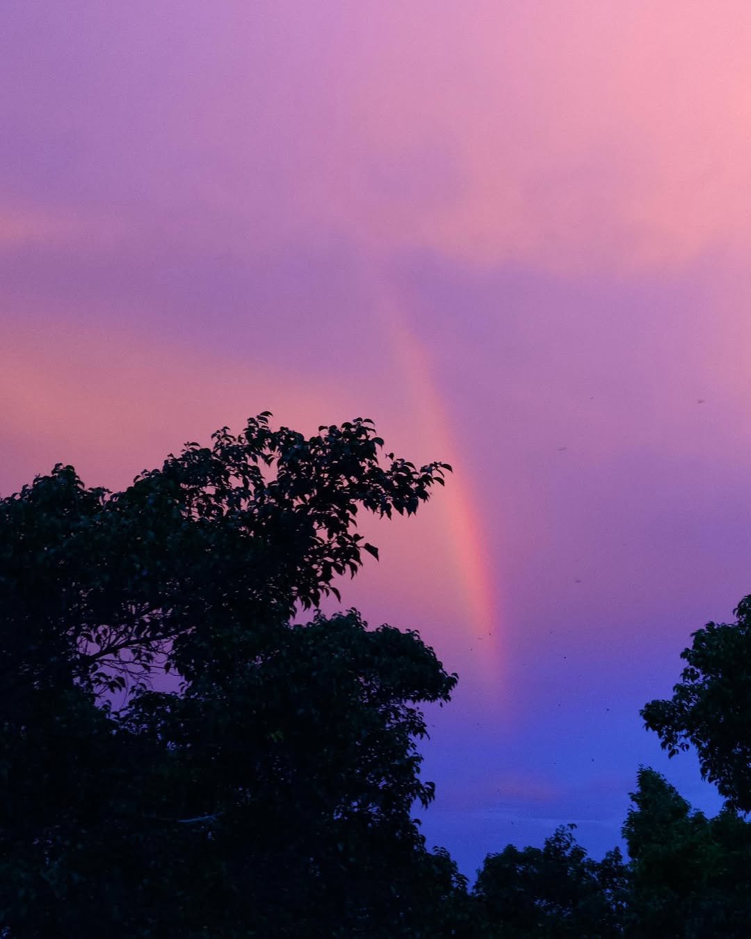 234 게시물 이미지: Somewhere over the rainbow

#ShotOniPhone...