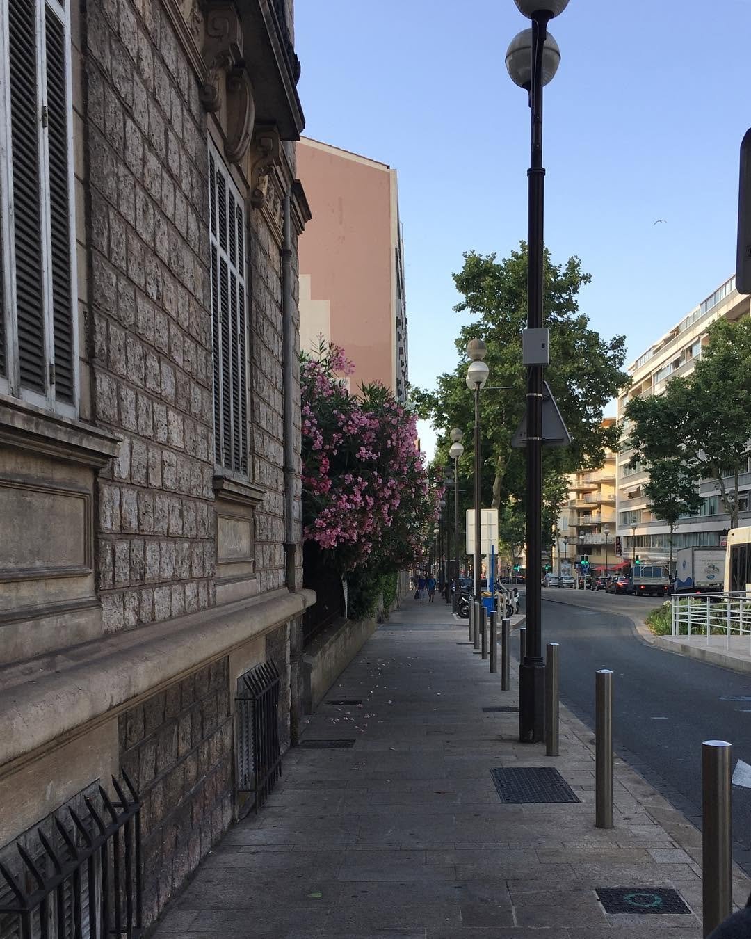 234 게시물 이미지: Walking the streets of Cannes #nofilter