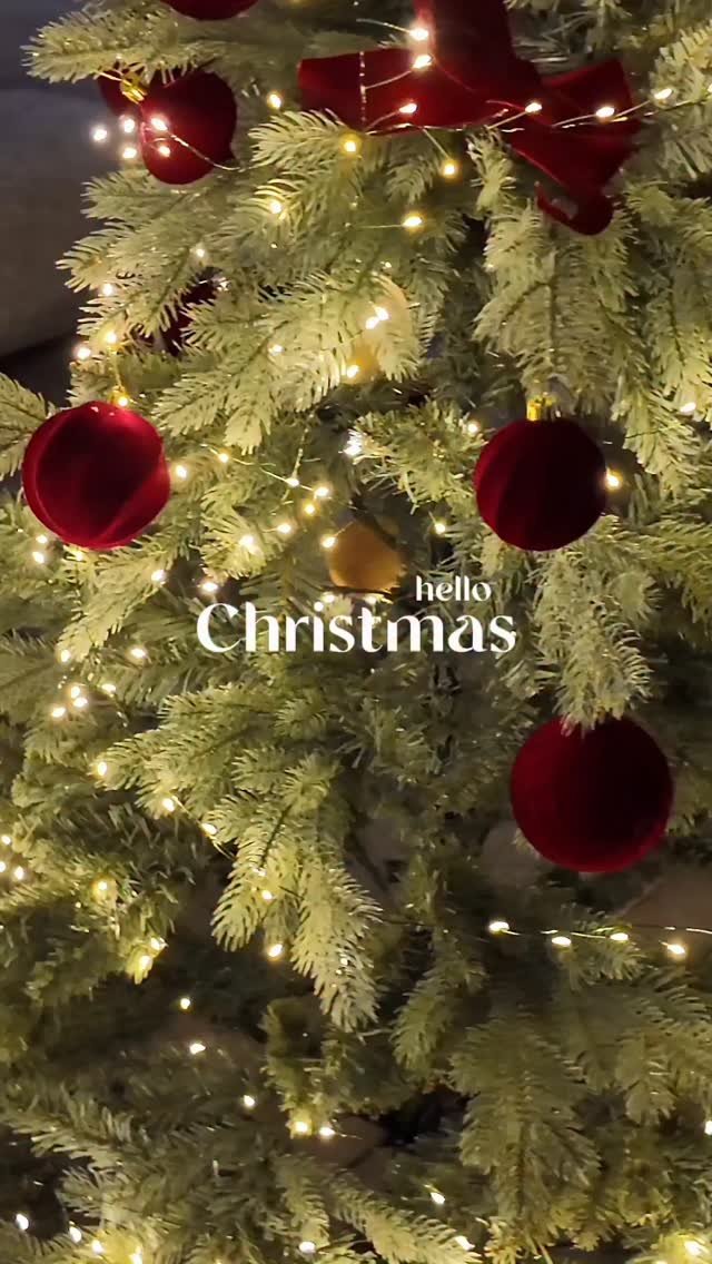 24oldfency 게시물 이미지: #협찬 아웃팅 아일랜 팅커벨 벨벳PE트리✨️🎄 @auting21_official...