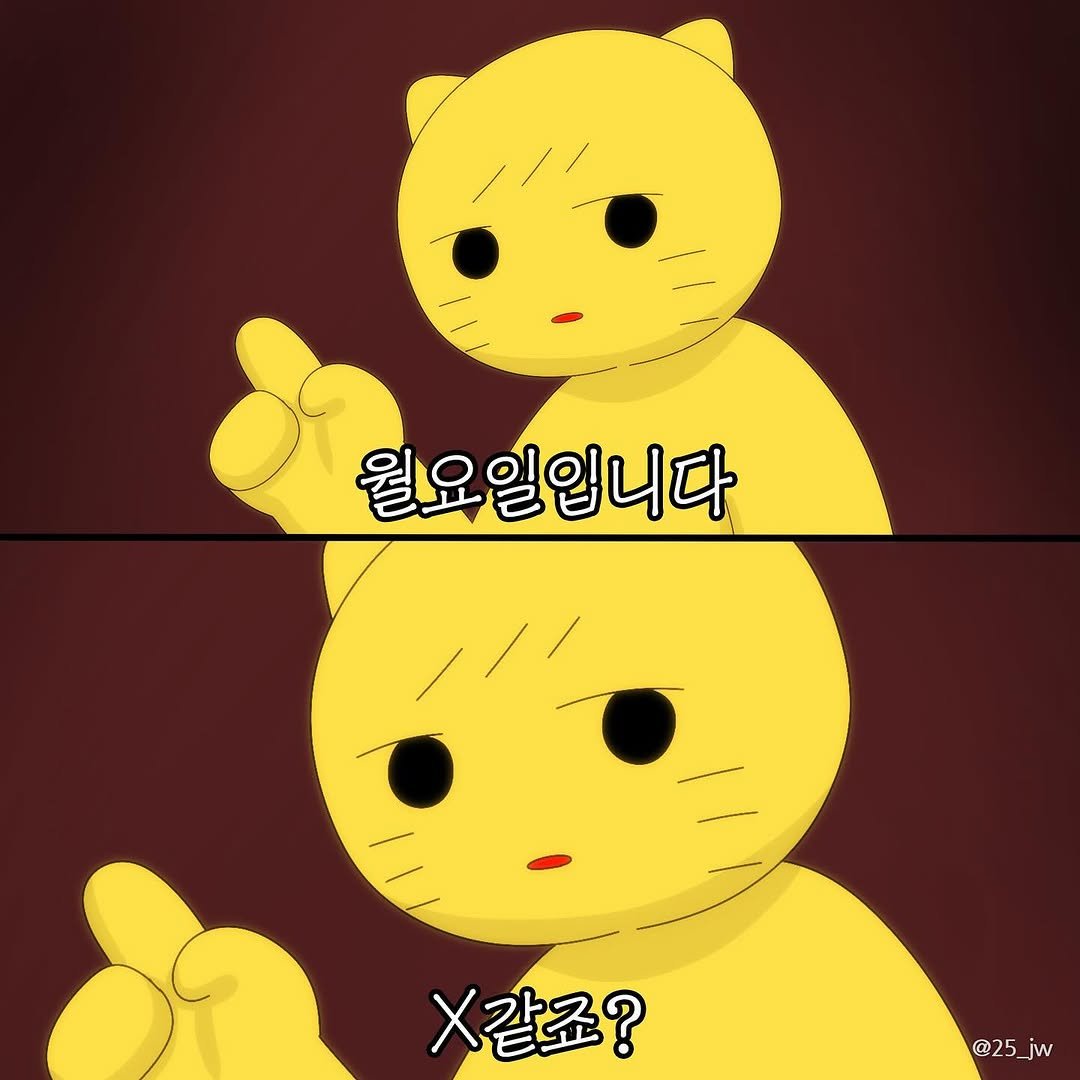 25_jw 게시물 이미지: 어떤 날이 x같을지 몰라서 다 준비해봤어요👌