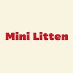 minilitten 프로필 사진