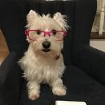 user_jjun 프로필 사진