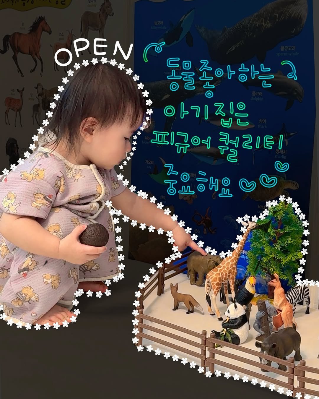 Photo by 문정아 | 나만 알고싶은 도아맘의 센스육아💛 on November 25, 2025. May be an image of poster and text that says 'OPEN 60 동물콜아하는 아하는 २ੇ 아기 아기집은 집은 피규어 컬리티 컬 T2 중요해요'.
