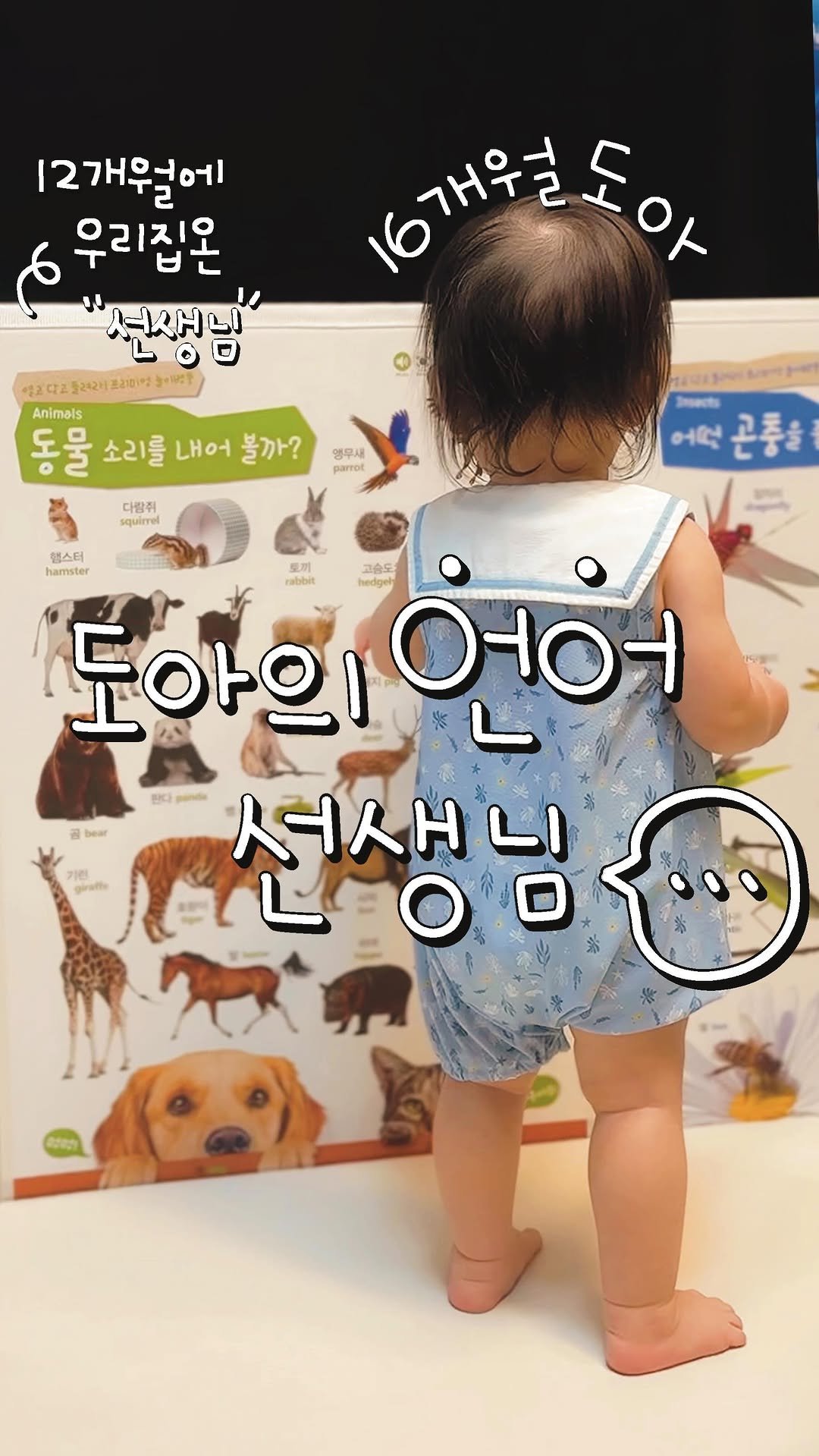 2doa_dyoa 게시물 이미지: 마루별병풍 공구 오픈 !!
아직도 아기병풍에서 감성 찾는 엄마들...
