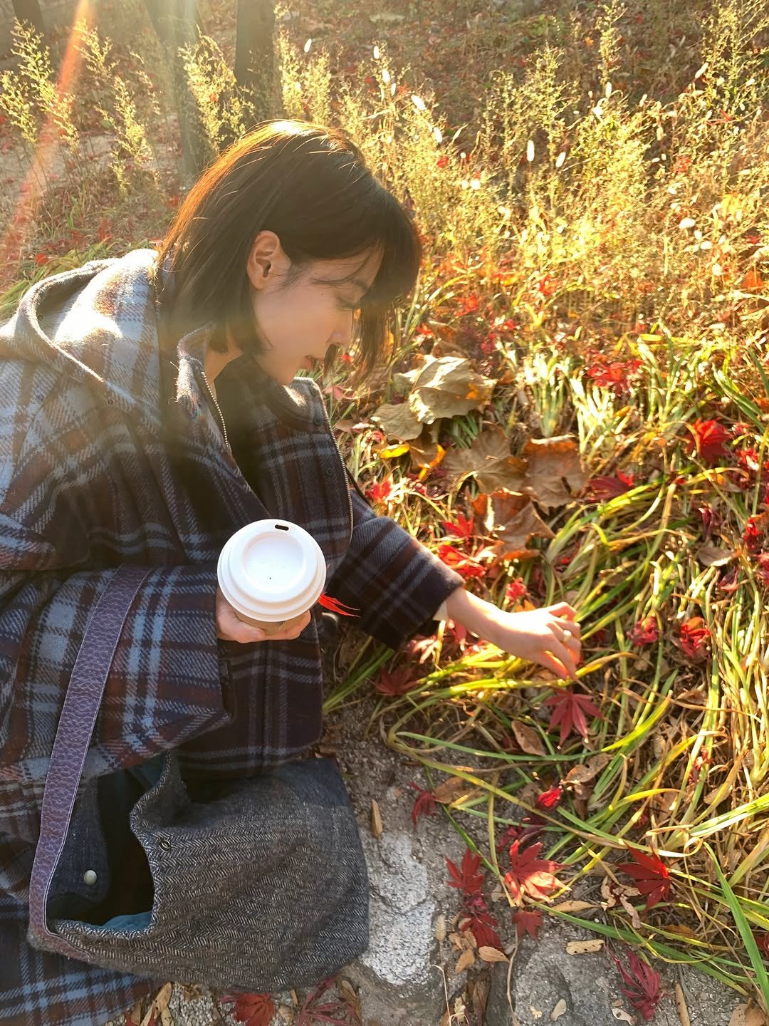 Photo by 주미 on November 28, 2025. May be an image of globe amaranth, outdoors and text.