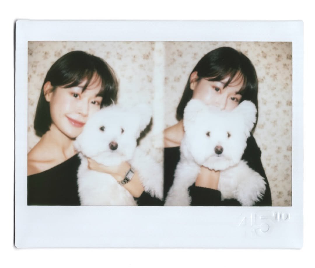 Photo by 주미 on November 23, 2025. May be an image of Maltese, Bedlington terrier, polaroid and text.