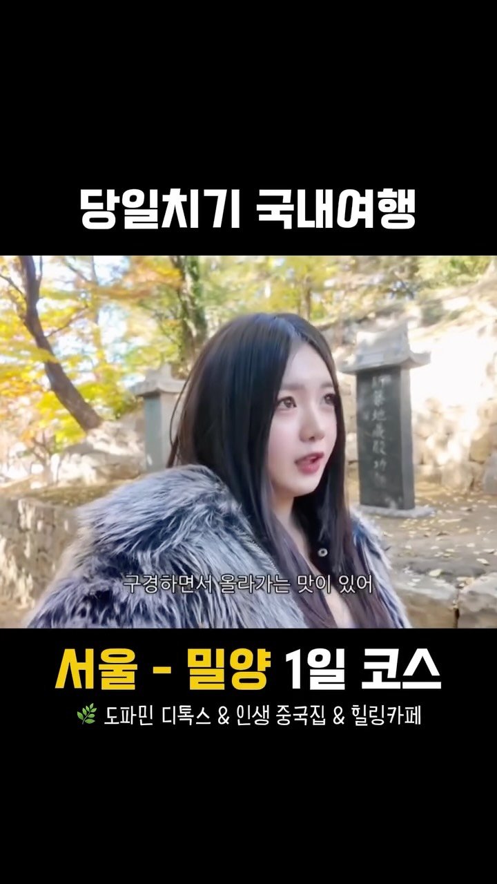 2ioary 게시물 이미지: 서울에서 밀양을 당일치기로 가는 사람이 있다?
응 그게 바로 나야

장사부 -...