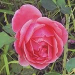 unanswered.letters 프로필 사진