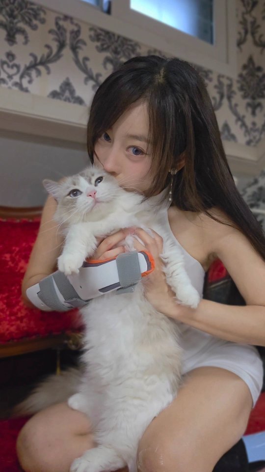 2sinbi 게시물 이미지: 뇸뇸 맛있는 푸링이 ♡ 눈나가 산책 자주 시켜주께
#고양이애교  #고양이집사 #고양이