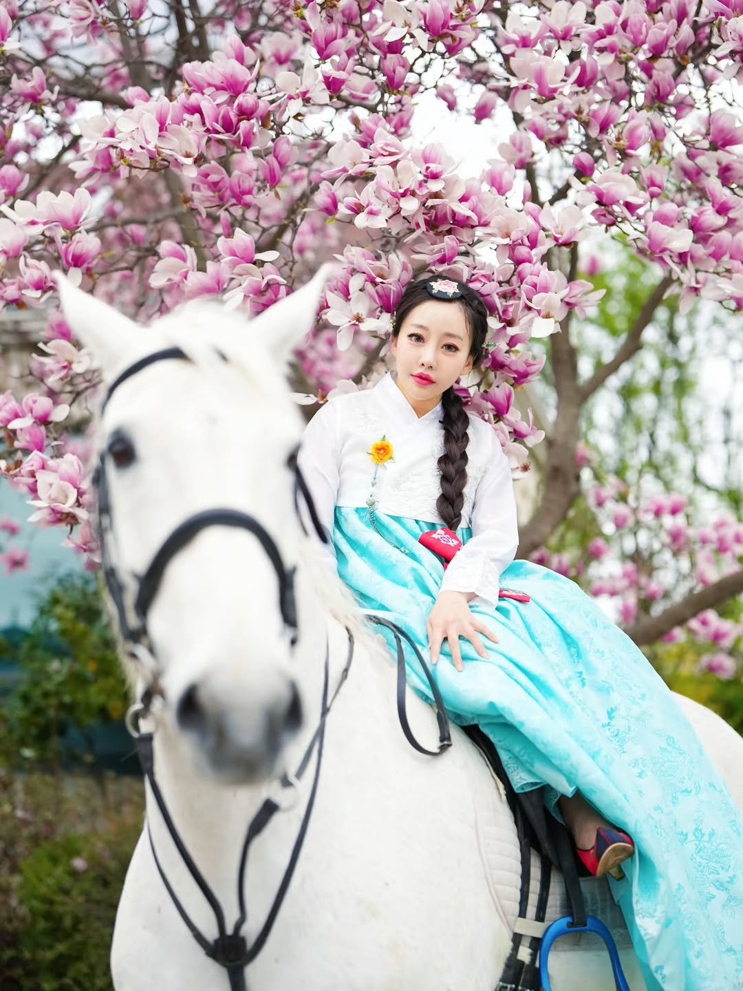 Photo shared by 이신비 정하얀 on February 16, 2026 tagging @lee_nakwon, and @ahskflwk58. May be an image of horse and text.