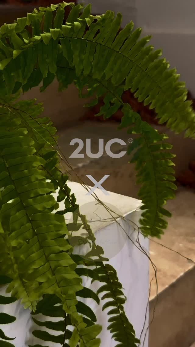 2uc_official 게시물 이미지: 2UC X Rumba.Bor

#2uc #거실인테리어 #신혼집인테리어 #선반인테리어...