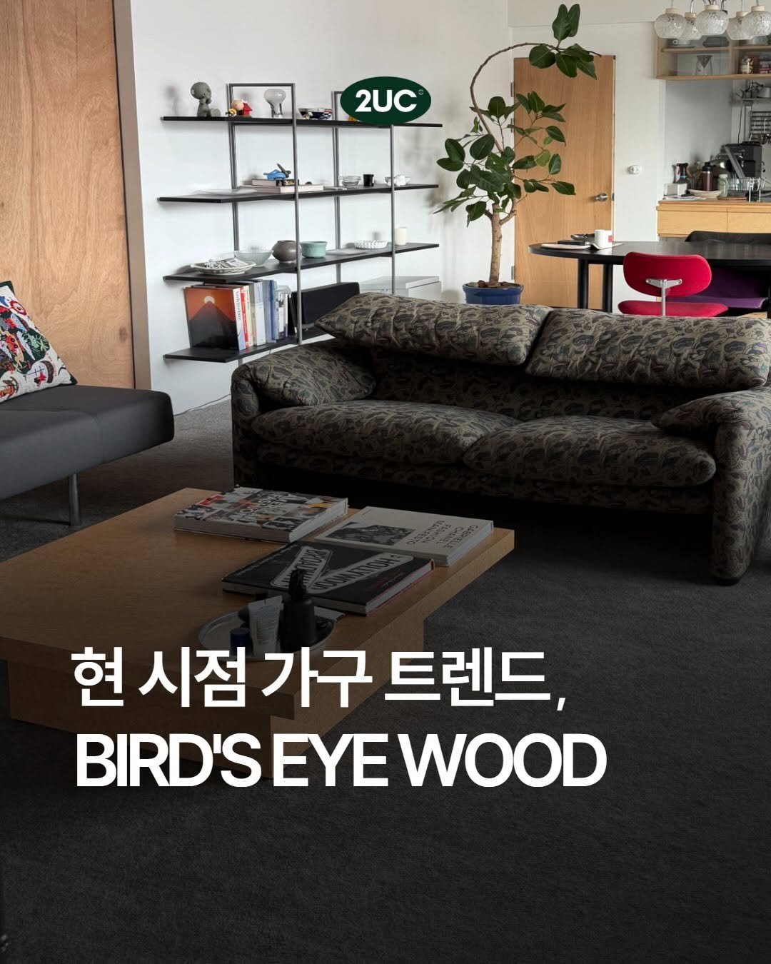 2uc_official 게시물 이미지: 요즘 감각 있는 공간 사진을 보다 보면 유독 자주 보이는 소재가 하나...