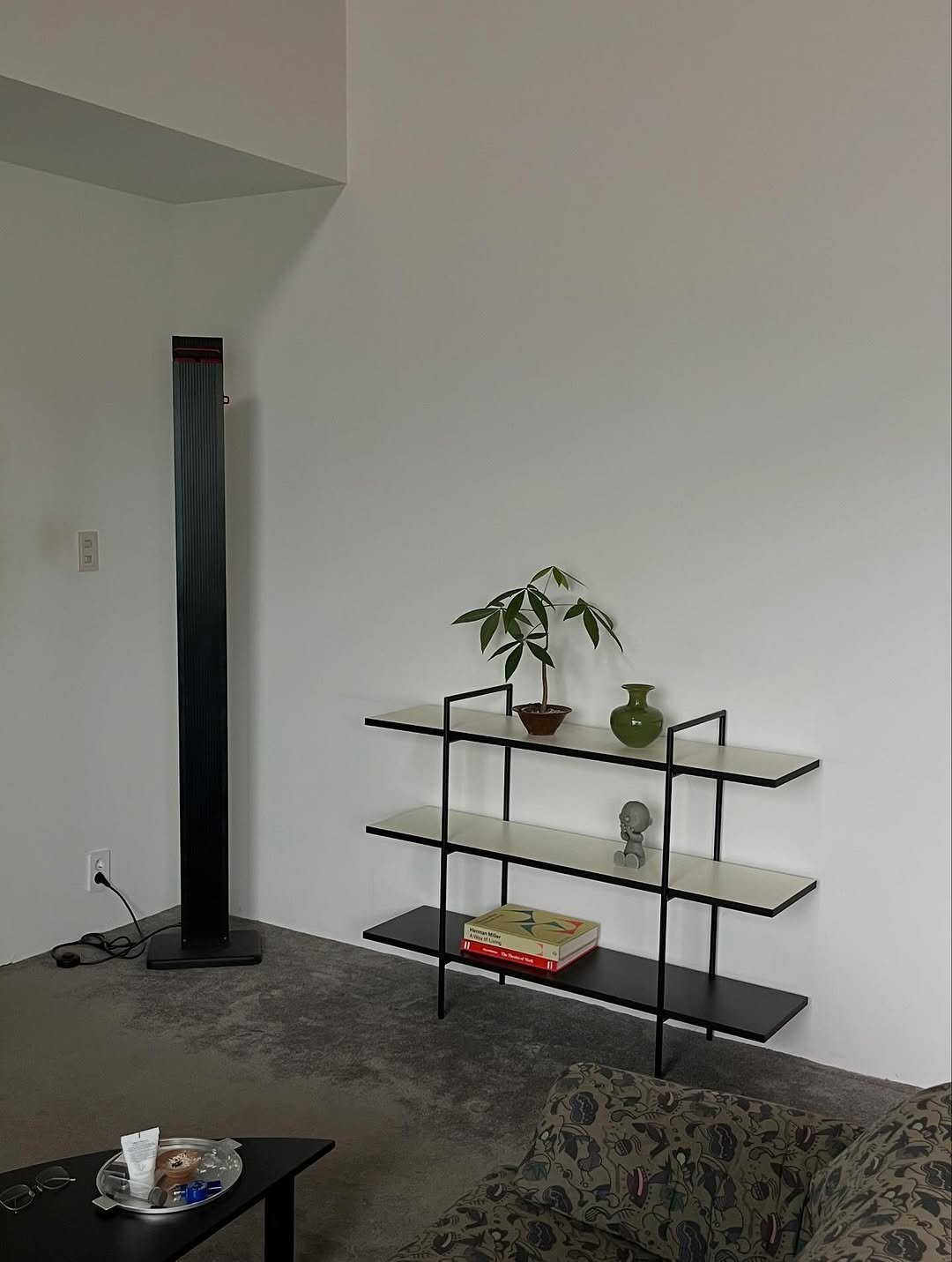 Photo by 2UC inc. on September 27, 2025. May be an image of shelf, house plant, rack, indoors, living room and text.