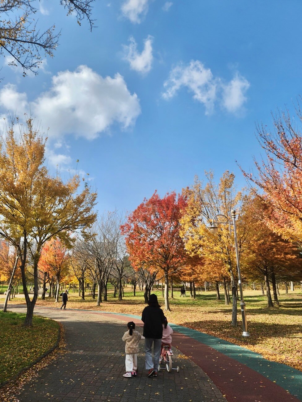 Photo by 이유 | 살림•집밥 on November 09, 2025. May be an image of child, park and text.