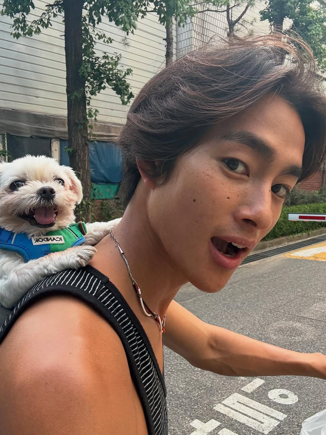 Photo by 홍태준 TaeJun on August 31, 2025. May be an image of one or more people, hair, Maltese, Pekinese and text.
