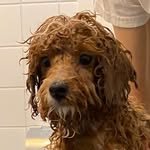 keemwj 프로필 사진