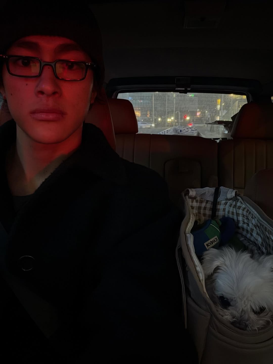 Photo by 홍태준 TaeJun on February 15, 2026. May be a selfie of Maltese, duffle coat and text.