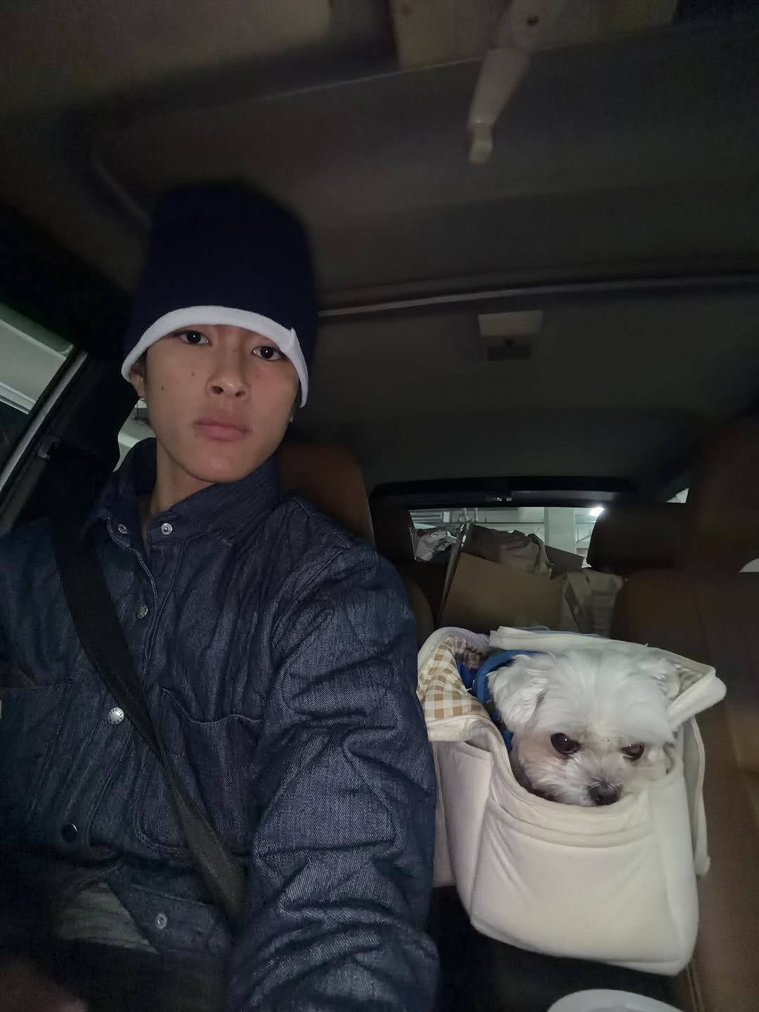 Photo by 홍태준 TaeJun on November 15, 2025. May be a selfie of Maltese, seatbelt and text.
