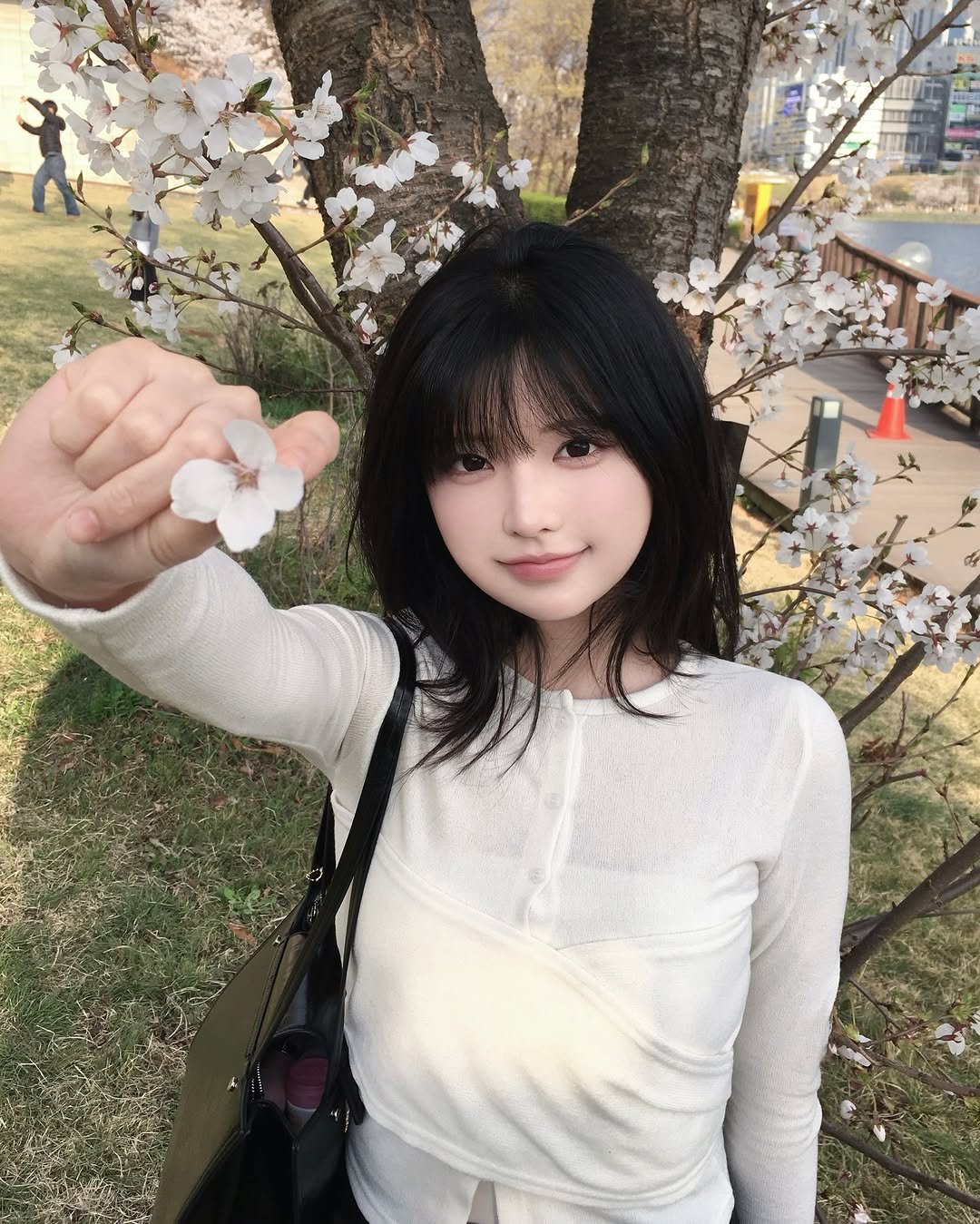 Photo by 강비 on April 05, 2026. May be an image of stone-fruit tree and text.