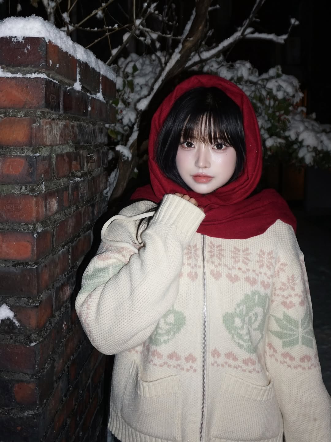 Photo shared by 강비 on December 04, 2025 tagging @lartigent. May be an image of one or more people, hair, duffle coat, scarf, sweater, face mask, parka, turtleneck, cloak and text.