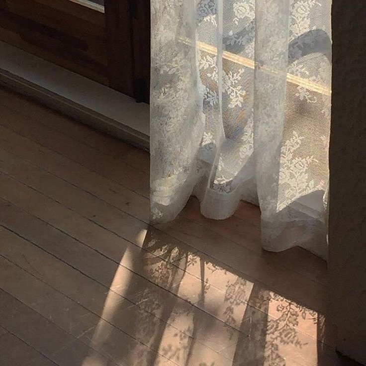 Photo by 강비 on November 13, 2025. May be an image of mosquito net, curtains, window and text.