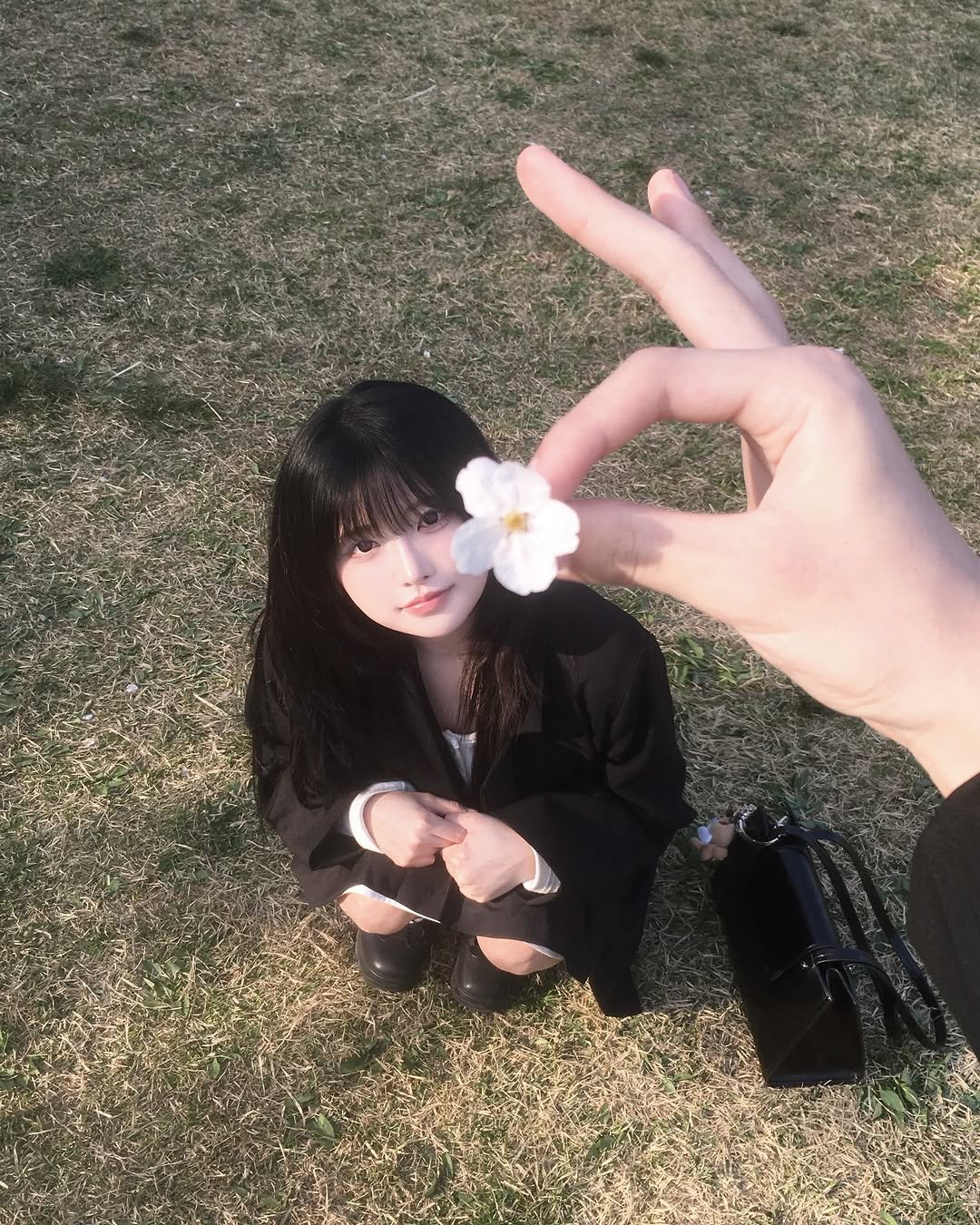 Photo by 강비 on April 06, 2026. May be an image of white lily, baby's-breath and text.