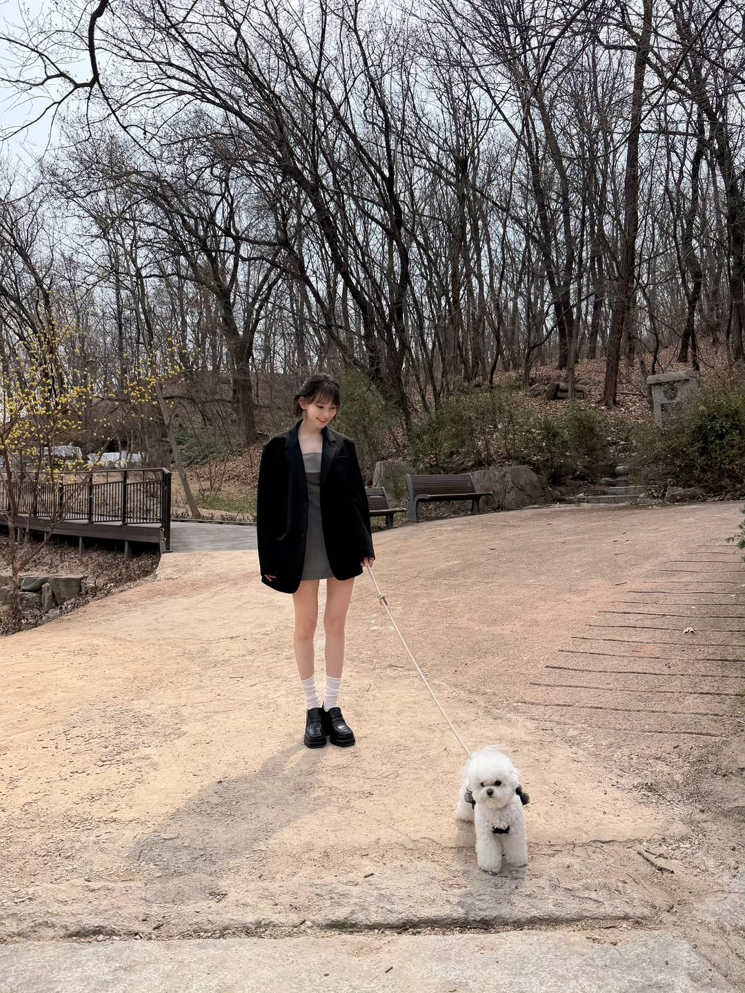 Photo by Sakura Miyawaki on March 29, 2026. May be an image of Norwich terrier, Pekinese, Maltese, Bedlington terrier, park and text.