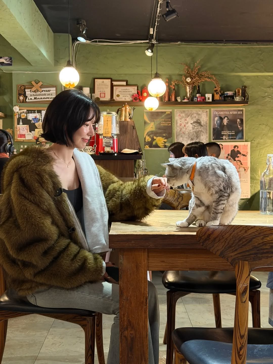 Photo by Sakura Miyawaki on January 09, 2026. May be an image of kitten, duffle coat and fur.