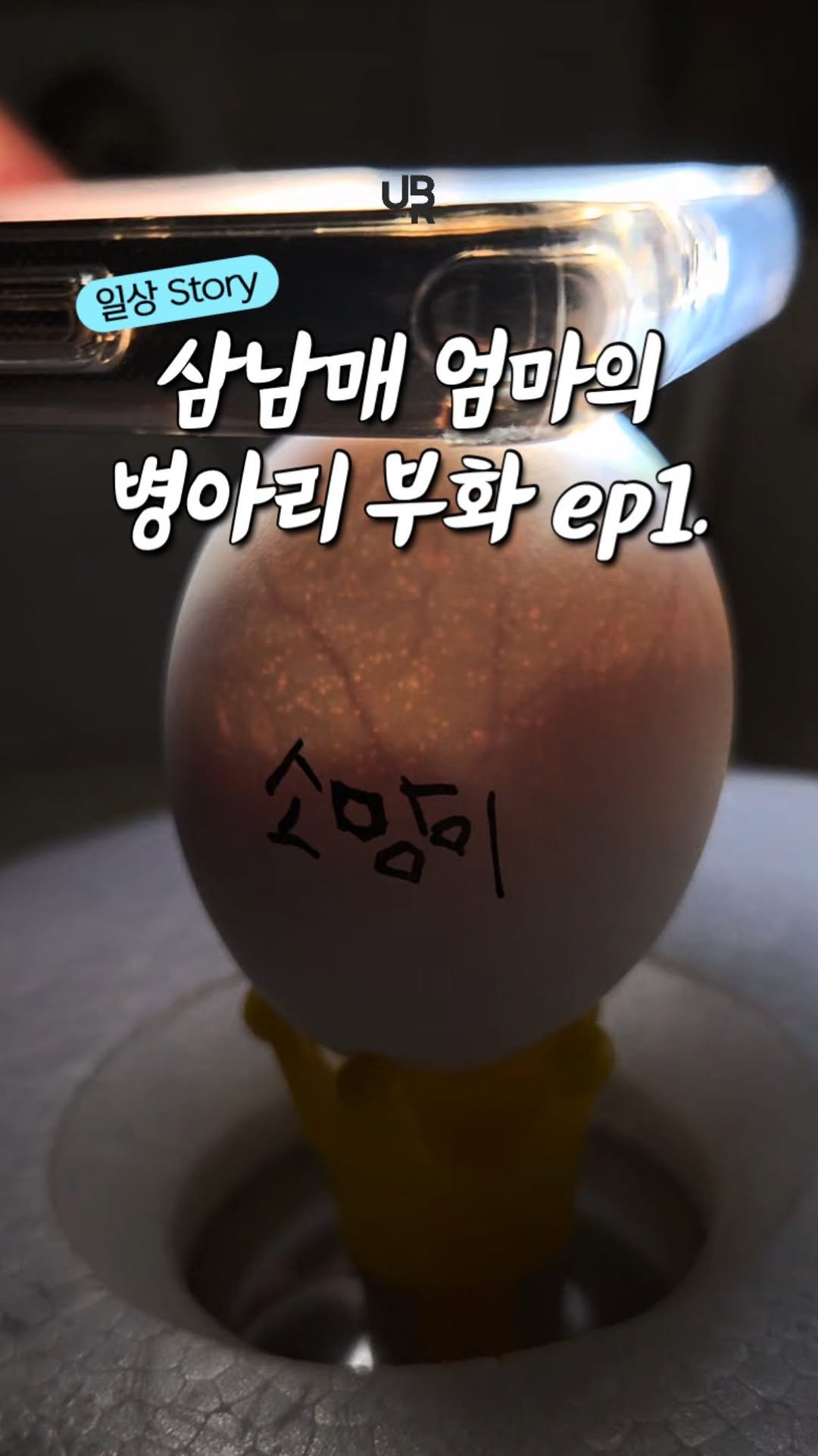 3_yunis 게시물 이미지: #급이벤트 몇마린지 맞춰주소서❤️‍🔥

같이 메뚜기 잡아주고
올챙이 잡아주는...