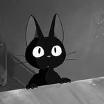 mil__dami 프로필 사진