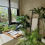 dtnr12 프로필 사진