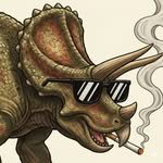 imagen2ai 프로필 사진