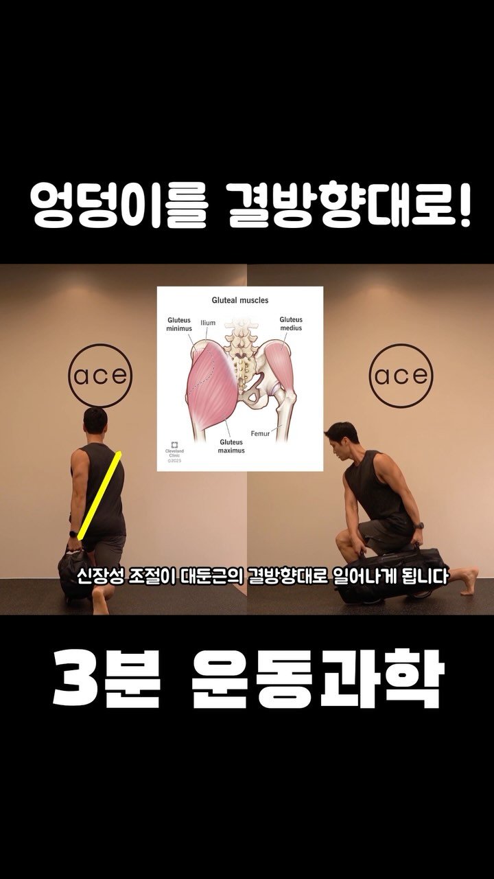 3min_exercisescience 게시물 이미지: 런지는 3D런지!! 엉덩이도 3D로 훈련하세요!! 펑셔널샌드백 지도자과정은 프로필...