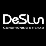 deslun_hong 프로필 사진