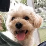 gookbobby1017 프로필 사진