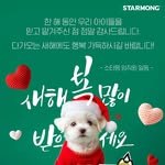 starmong_official 프로필 사진