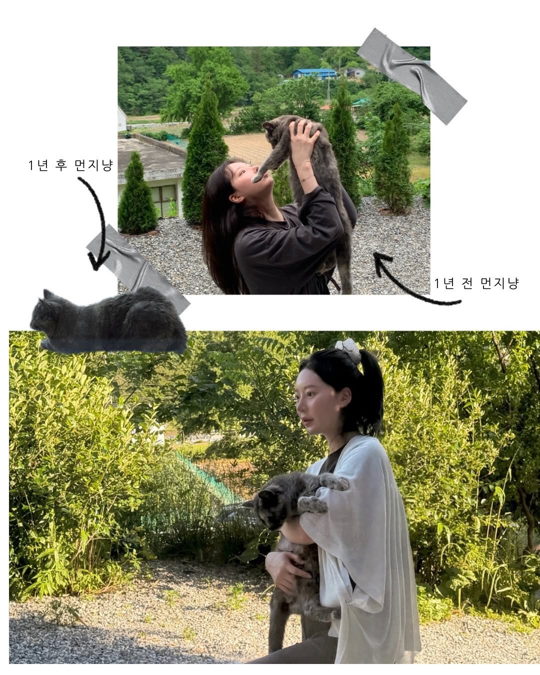 425_lash 게시물 이미지: 강원도 가신다면 낙산사,오롯이 𝘊𝘢𝘧𝘦 𖤐 메모 !
냥이들 천국 입니댜...