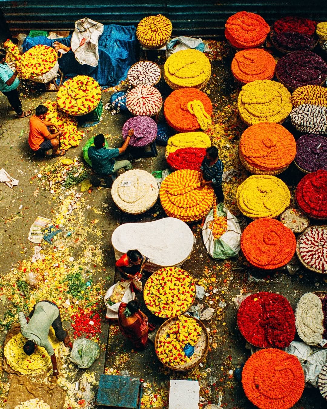 460 게시물 이미지: Heavenly smells and sights. Scenes on film...