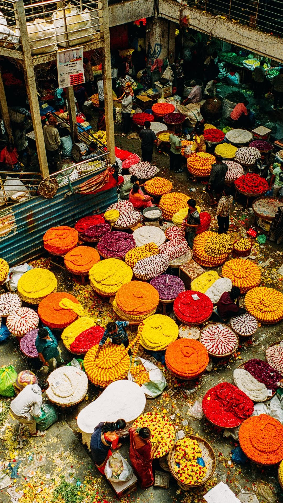 460 게시물 이미지: Magic in motion at the flower market....