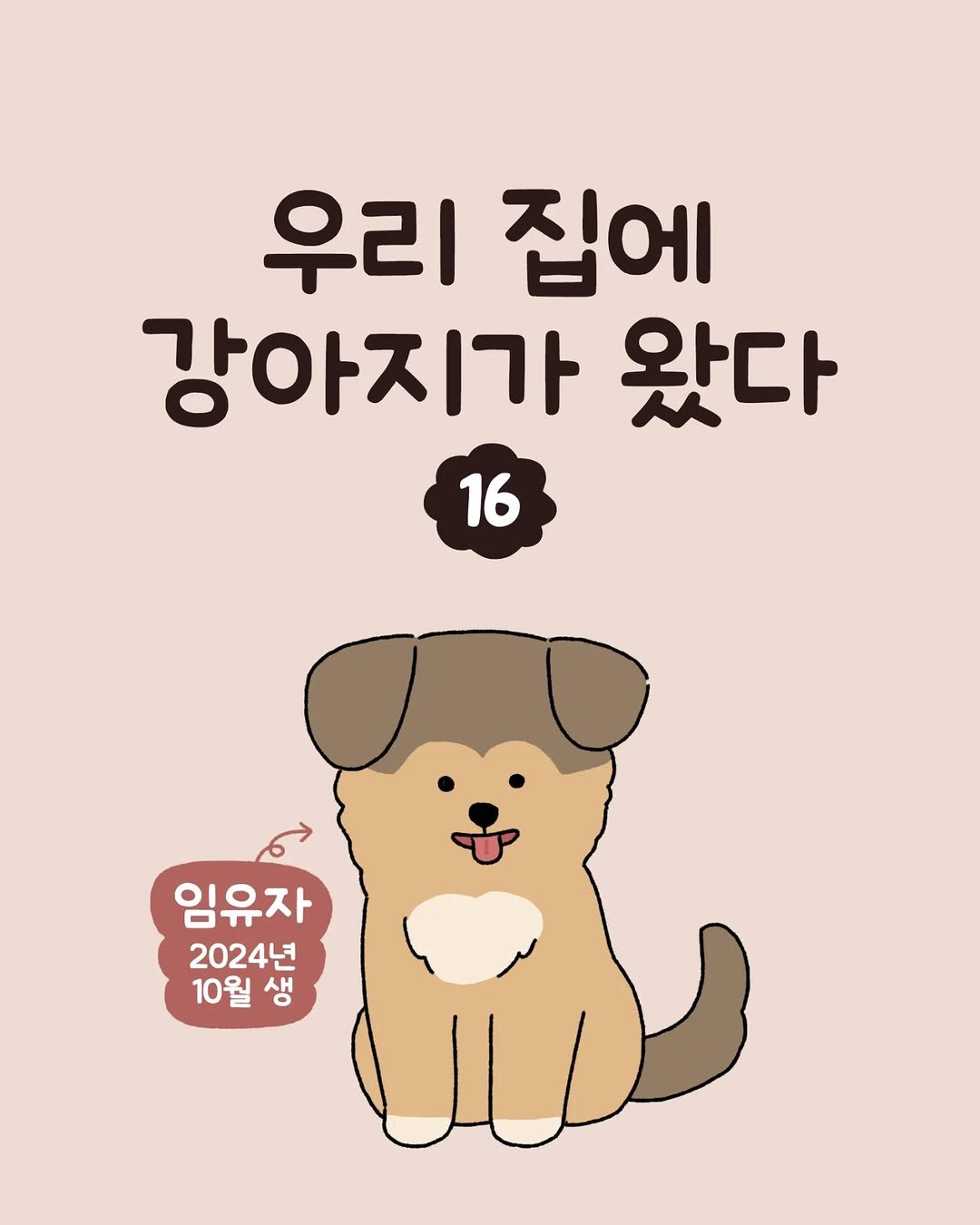 Photo by 육아툰 일상툰 ❤︎ Limbbo 림뽀 on June 24, 2025. May be an illustration of Norwich terrier and text that says '우리 집에 강아지가 왔다 16 و 임유자 2024년 10월 10월생 생'.