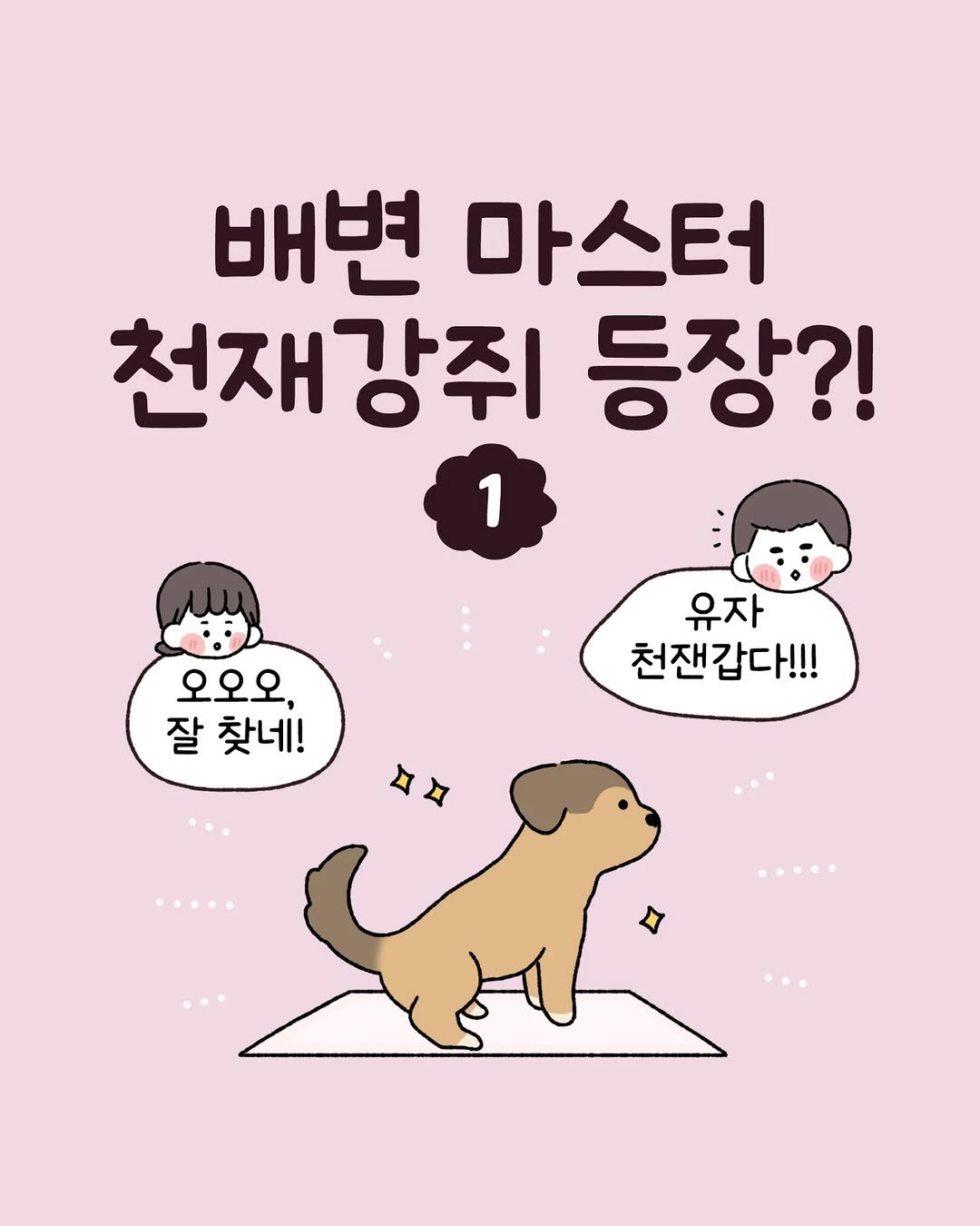 Photo shared by 육아툰 일상툰 ❤︎ Limbbo 림뽀 on July 22, 2025 tagging @4nab2. May be a doodle of Pekinese, Norwich terrier and text that says '배변 마스터 천재강쥐 등장?! 1 오오오, 잘찾네! 잘 찾네! 유자 천잰갑다!!! 같다!!!'.